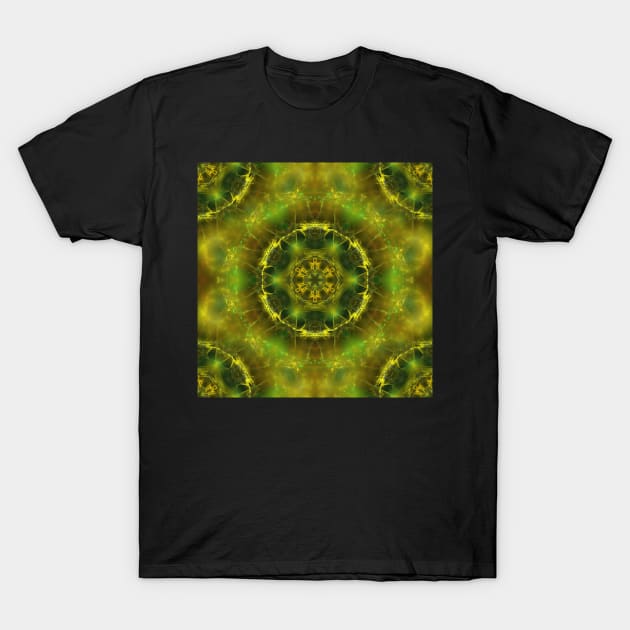 Magnificent fractal mandala T-Shirt by hereswendy